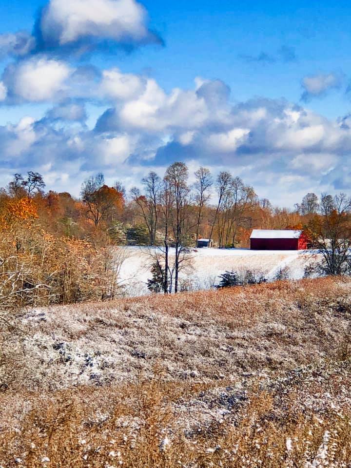 Remnants of Autumn